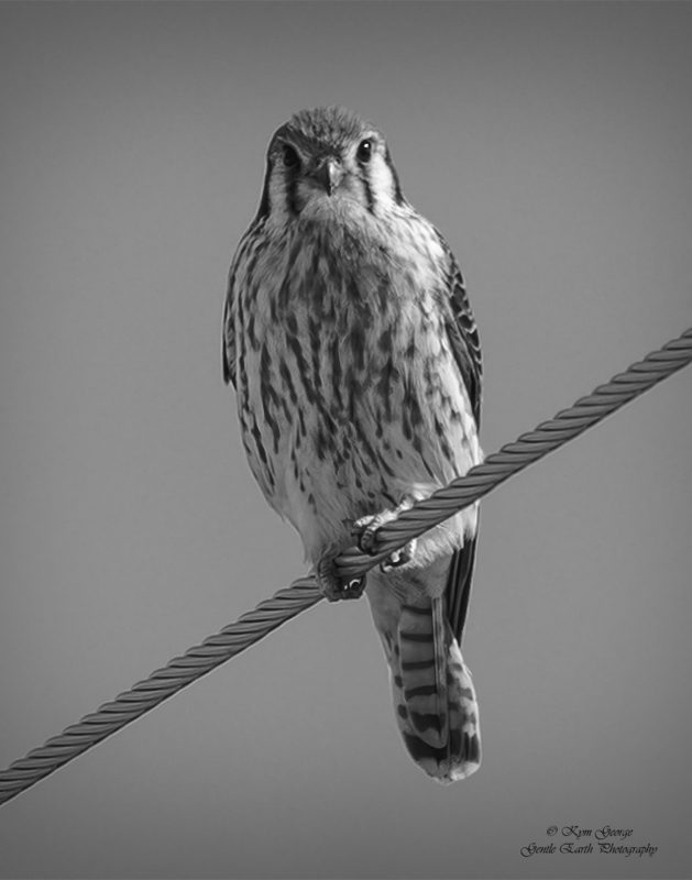 0H4A7243-Edit1.jpg