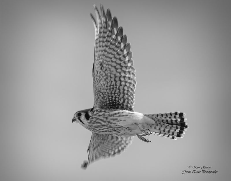 0H4A7254-Edit.jpg