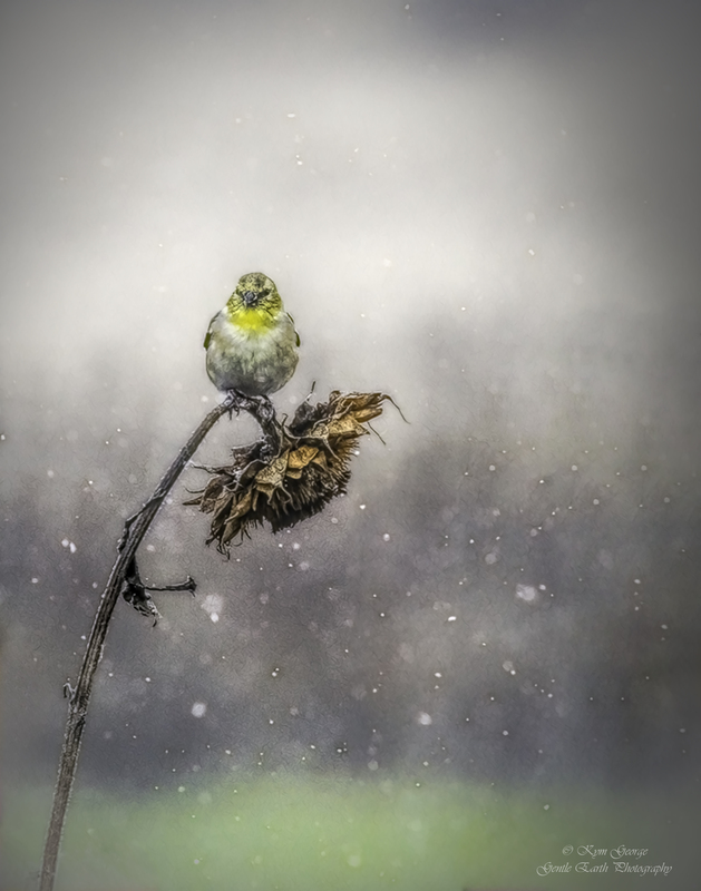 0H4A7258-Edit.jpg