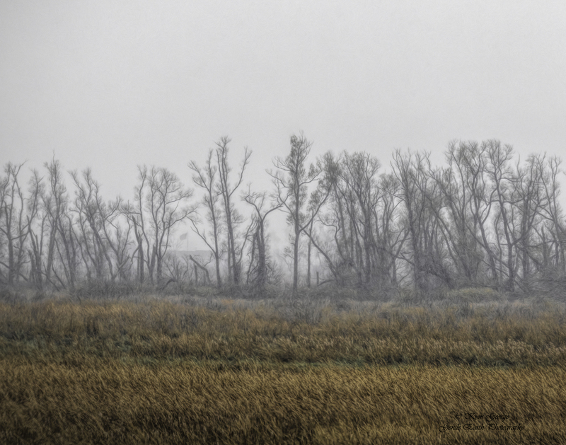 0H4A7508-Edit.jpg