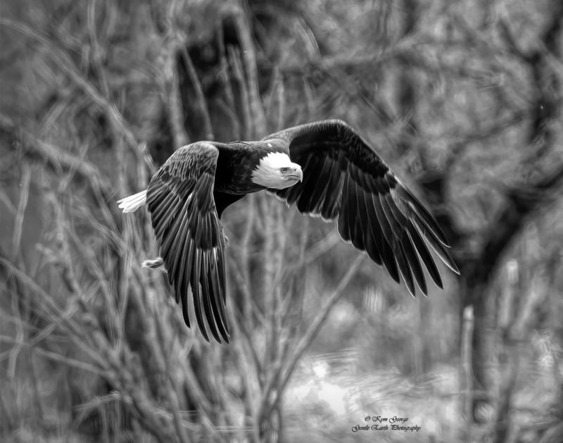 0H4A7516-Edit(1).jpg