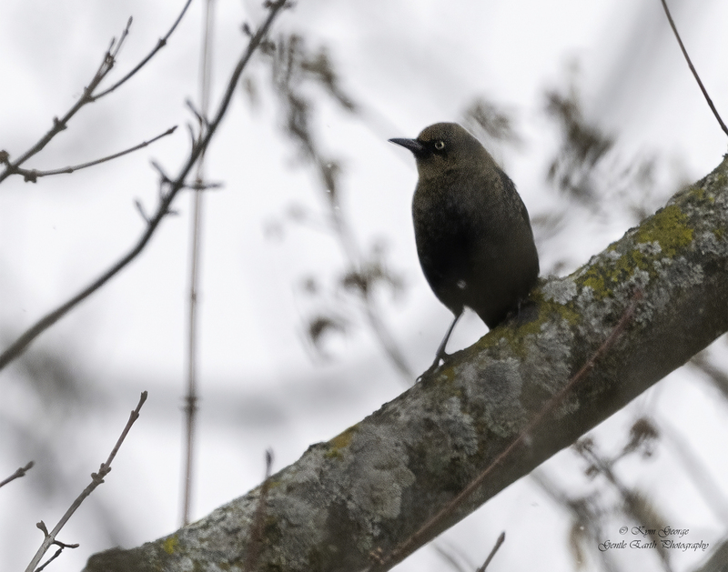 0H4A7591-Edit.jpg