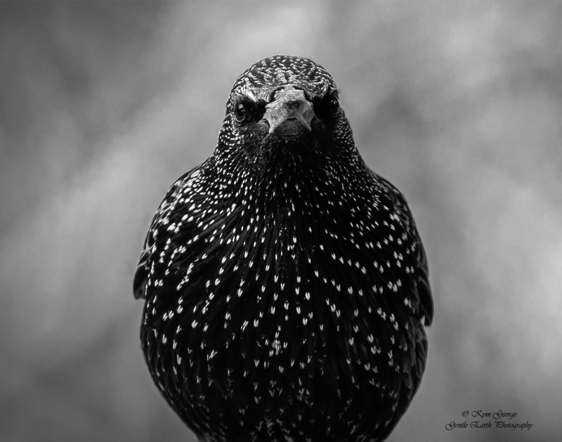 0H4A7604-Edit(4).jpg