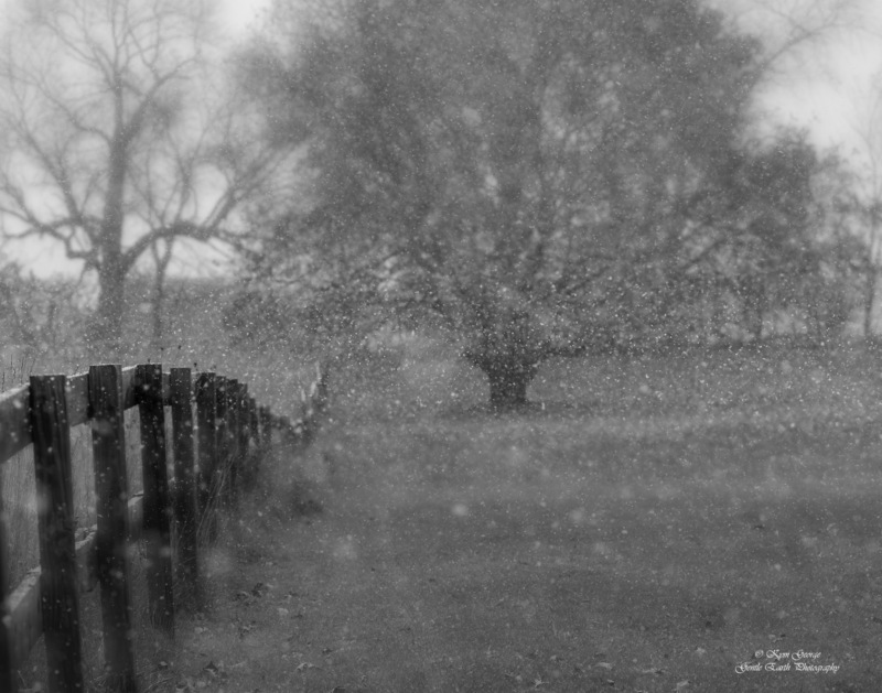 0H4A7644-Edit.jpg