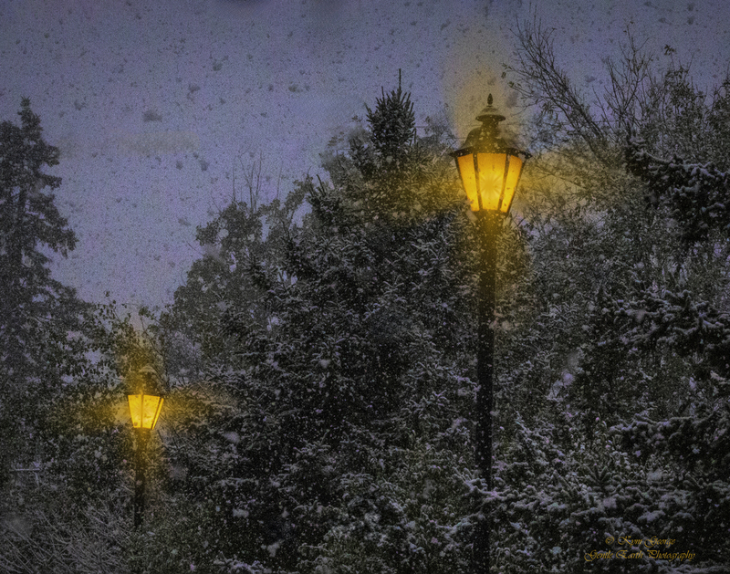 0H4A7706-Edit.jpg