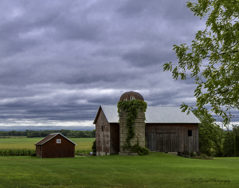 0H4A7760-Edit(2).jpg