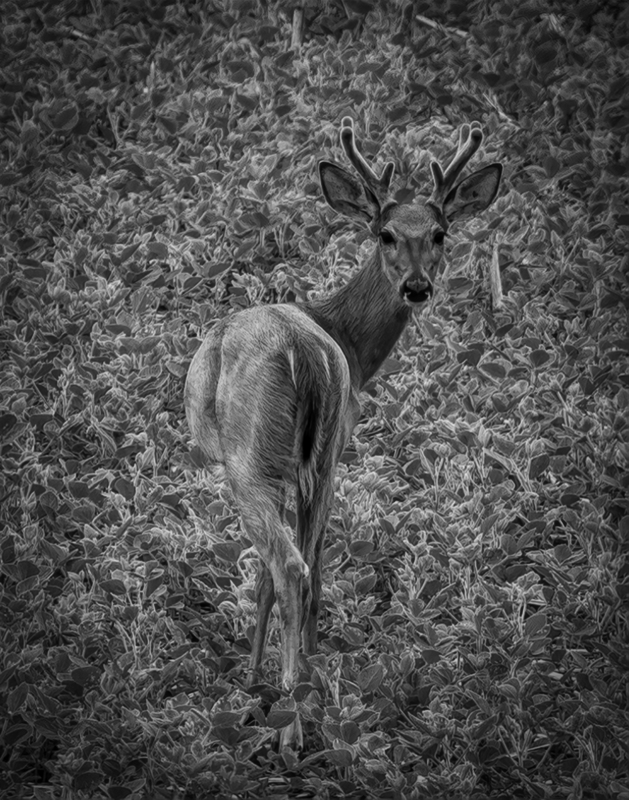 0H4A7984-Edit(2).jpg