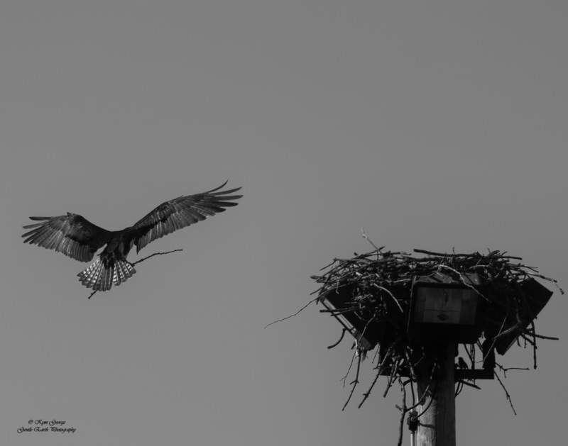 0H4A8047-Edit(1).jpg