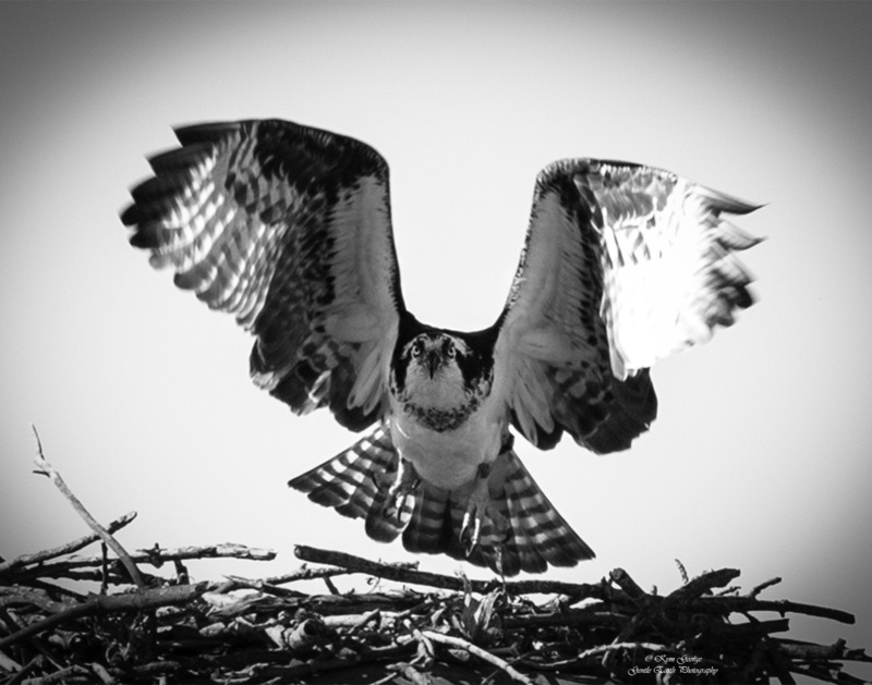 0H4A8070-Edit.jpg