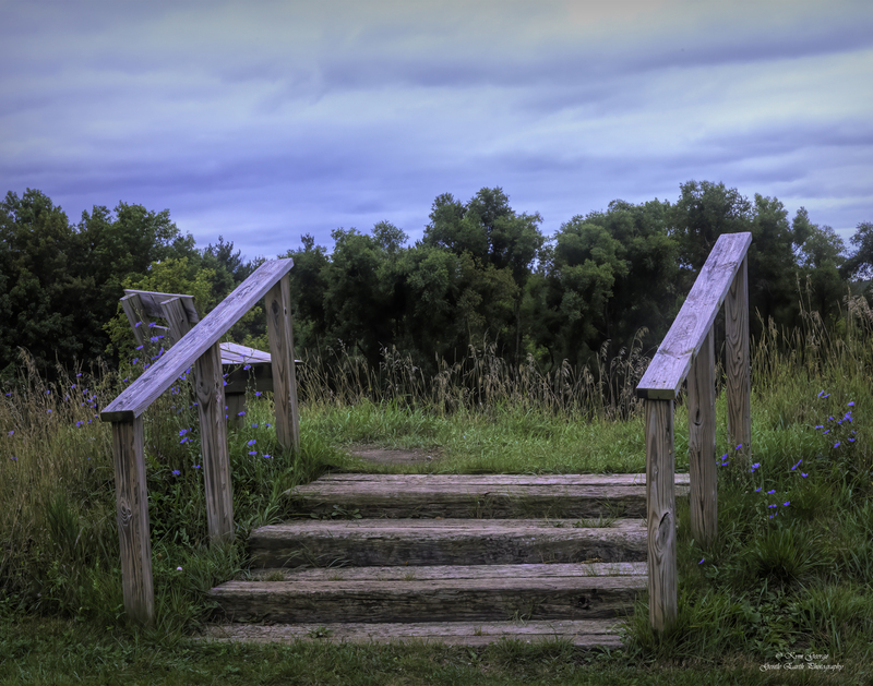 0H4A8101-Edit.jpg