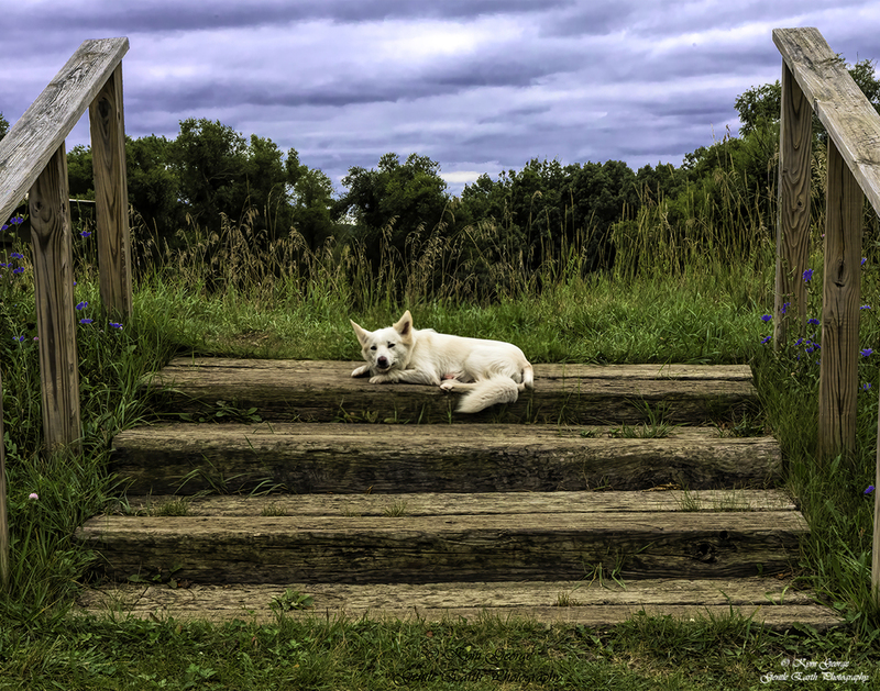 0H4A8109-Edit copy(1).jpg