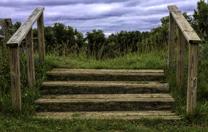 0H4A8109-Edit.jpg