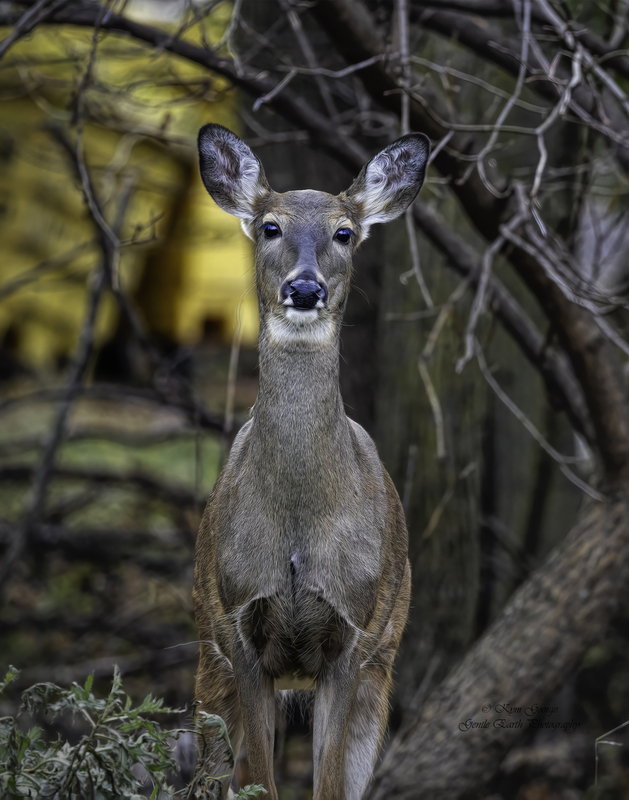 0H4A8158-Edit.jpg