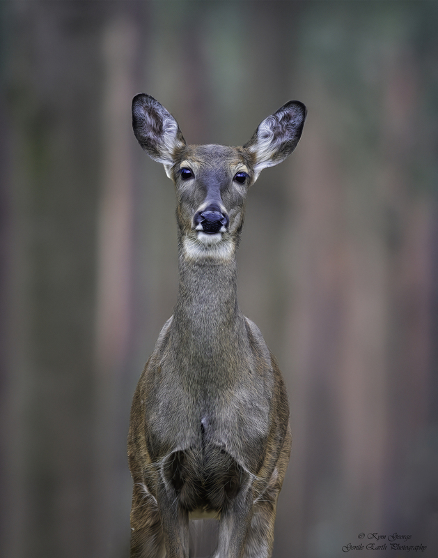 0H4A8158-Edit1.jpg