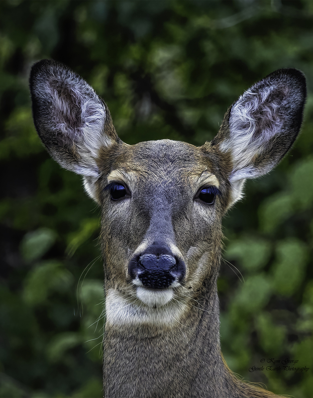 0H4A8211-Edit(2).jpg
