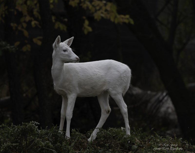 0H4A8241-Edit.jpg