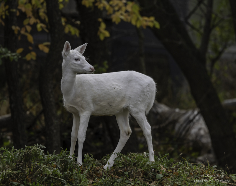 0H4A8243-Edit3.jpg
