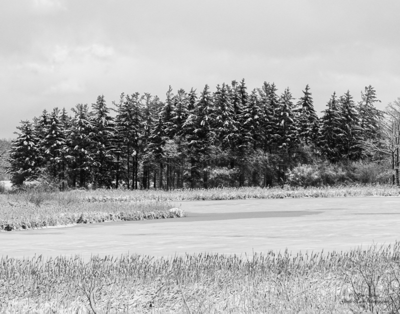 0H4A8250-Edit.jpg