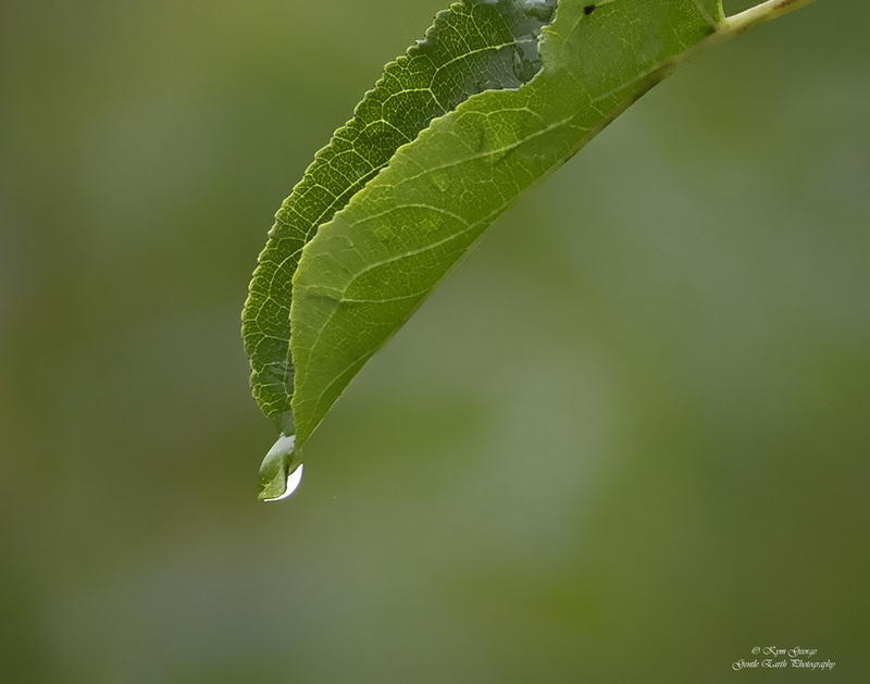 0H4A8412-Edit(1).jpg