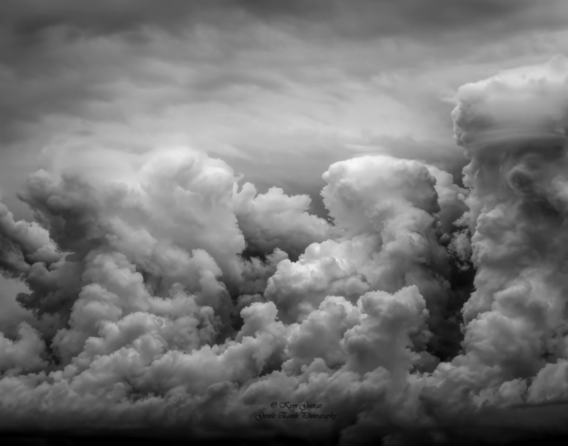 0H4A8475-Edit(1).jpg