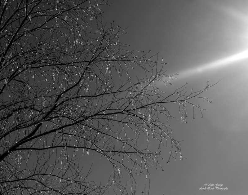 0H4A8594-Edit.jpg