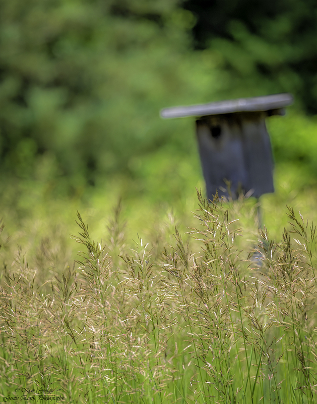 0H4A8735-Edit.jpg