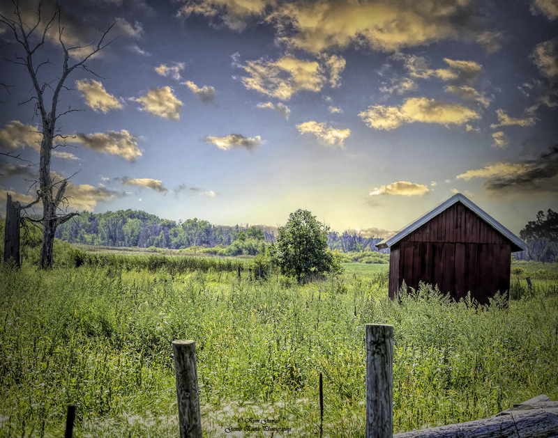 0H4A8770-Edit.jpg