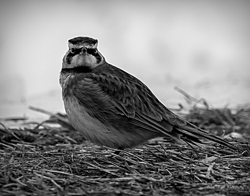 0H4A8970-Edit(1).jpg