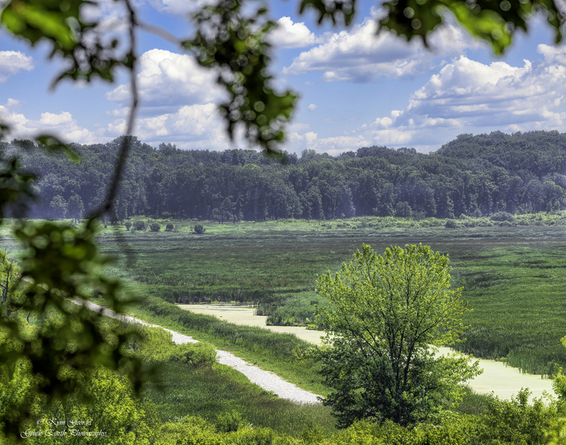 0H4A8973-Edit.jpg