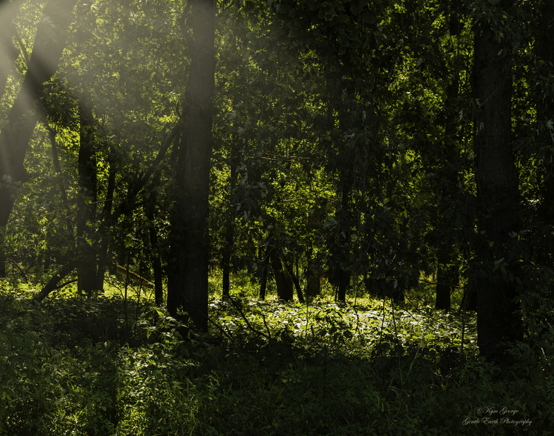 0H4A9000-Edit(1).jpg