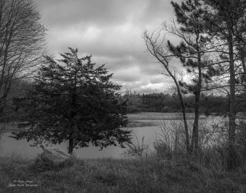 0H4A9106-Edit(1).jpg