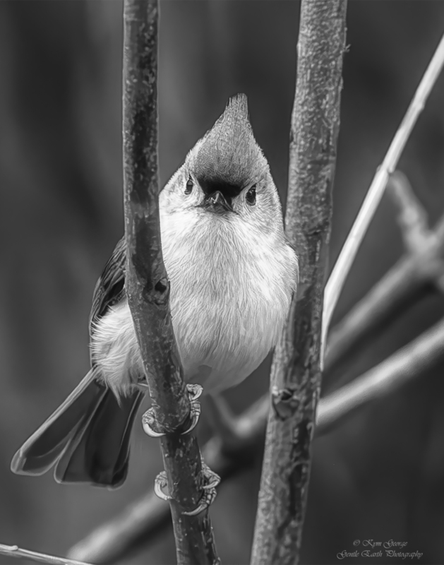 0H4A9106-Enhanced-NR-2-Edit(1).jpg