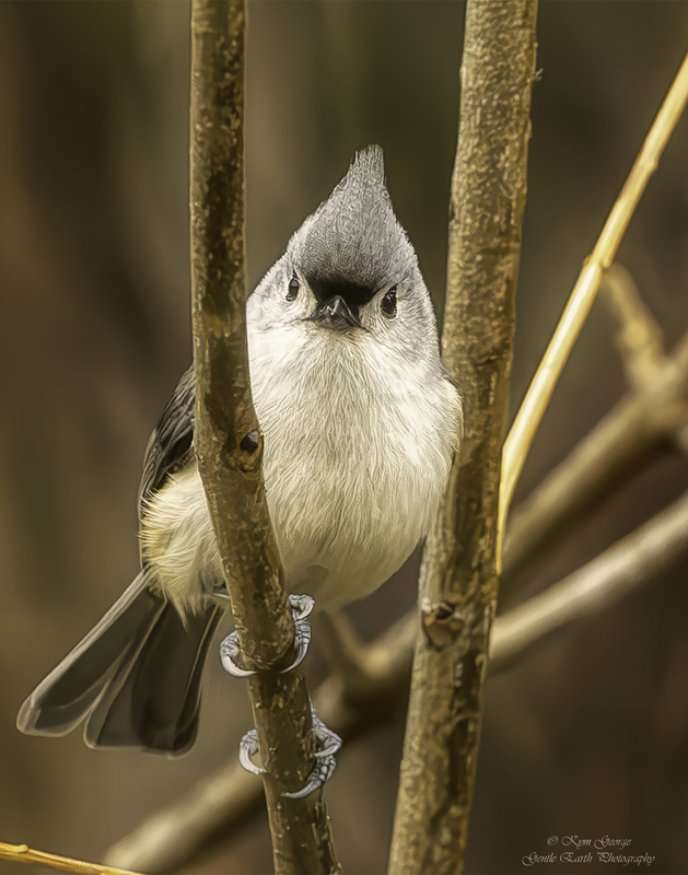 0H4A9106-Enhanced-NR-2-Edit.jpg