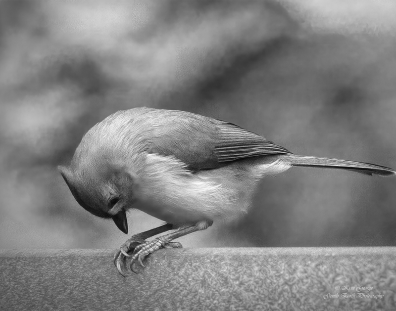 0H4A9158-Edit(2).jpg