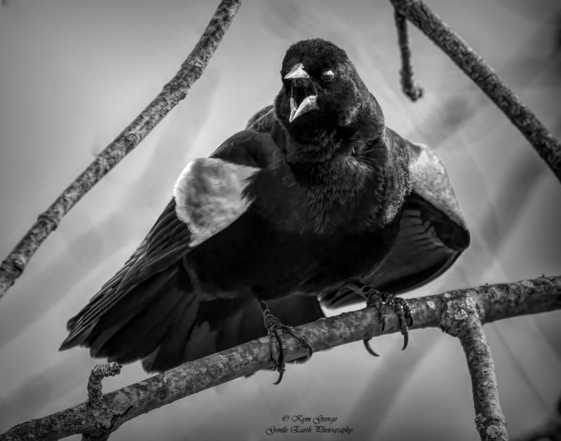 0H4A9268-Edit.jpg