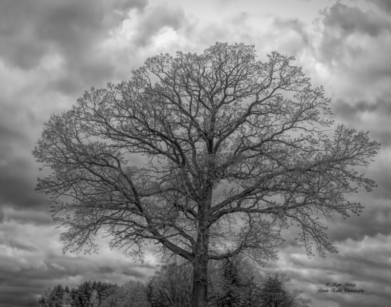 0H4A9286-Edit(1).jpg