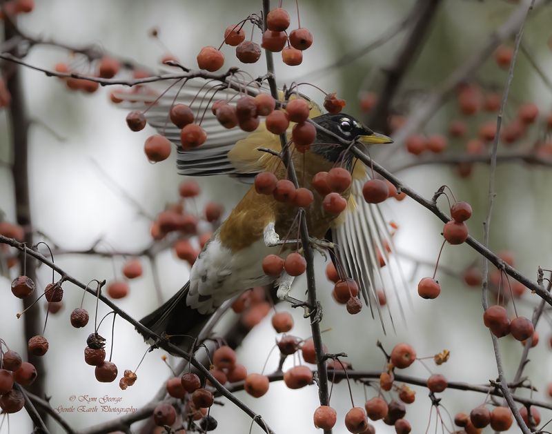 0H4A9465-Edit.jpg
