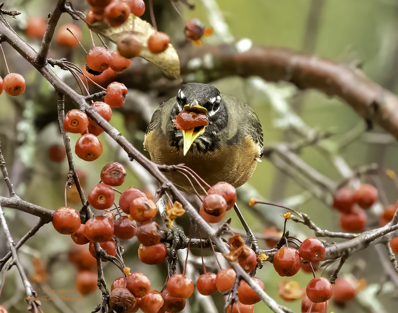 0H4A9496-Edit.jpg