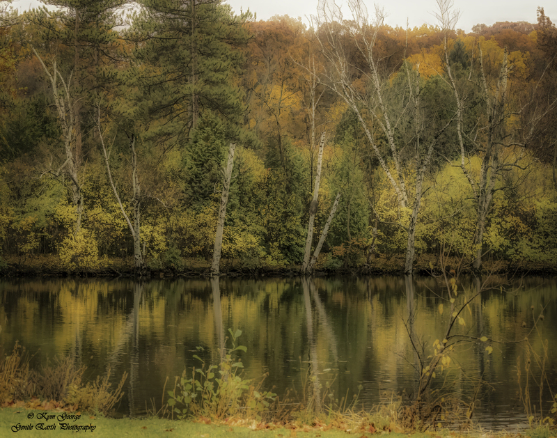 0H4A9529-Edit(1).jpg