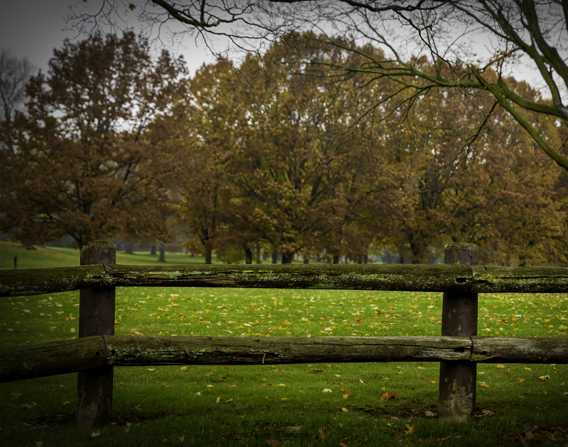 0H4A9544-Edit(1).jpg