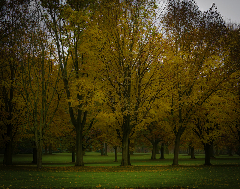 0H4A9546-Edit(1).jpg