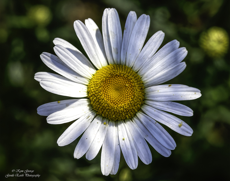 0H4A9570-Edit(1).jpg
