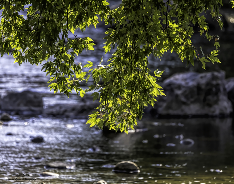 0H4A9582-Edit.jpg