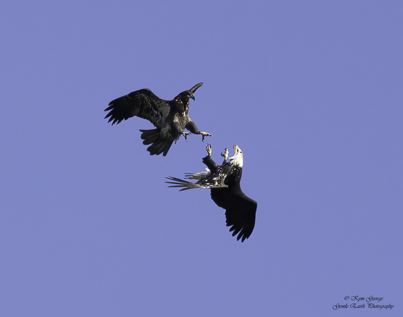 0H4A9700-Edit.jpg