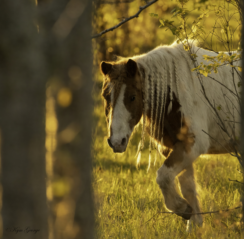 1W7A1327-Edit2(1).jpg