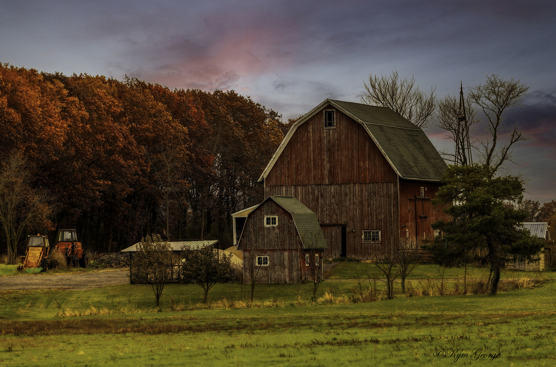1W7A2675-Edit copy.jpg