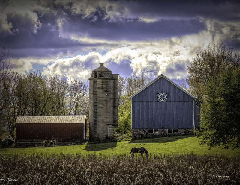 1W7A7406-Edit copy.jpg