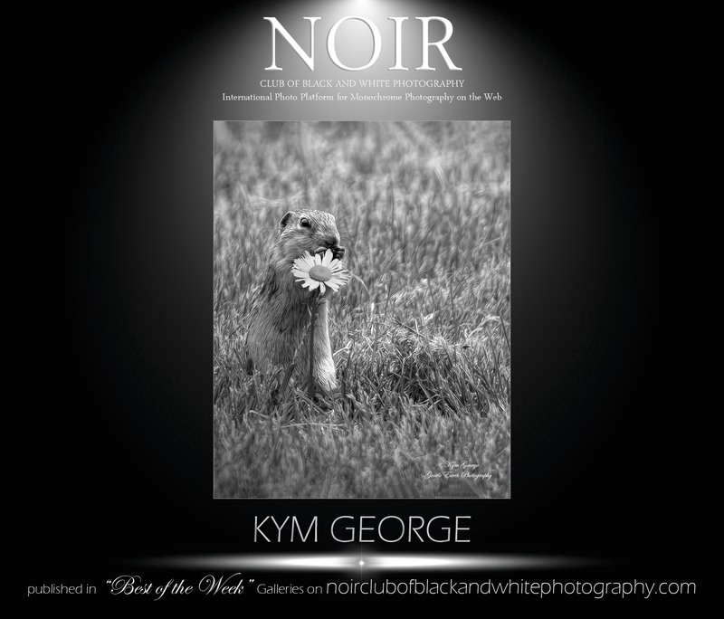 KYM (11)(1).jpg