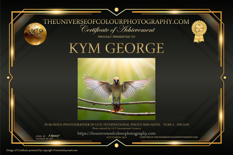 KYM (8)(3).jpg