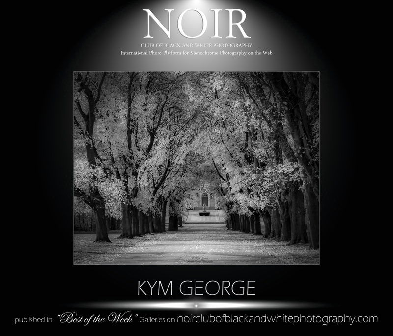 KYM 2 (1)(3).jpg